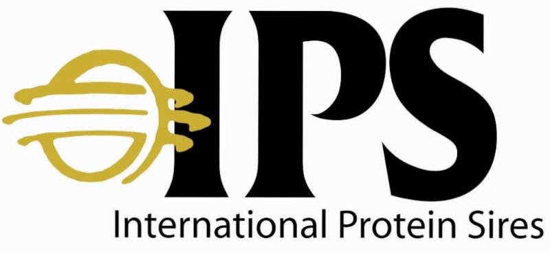 Novedades IPS: Setiembre