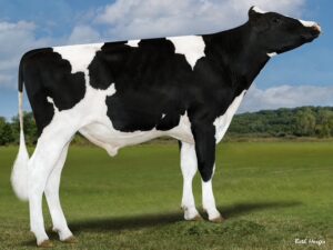 796HO10112 LEVERAGE-ET