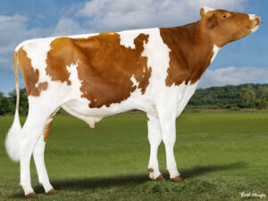 796HO10268 HATHAWAY-RED