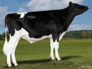 796HO10192 MARKER-ET